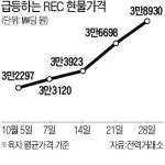 [단독] REC 가격 3주새 20% 급등…태양광 사업자 배려하려다 전기료 인상 빨라진다