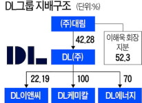 [기업 인사이드] 지주부터 건설·화학까지 LG맨…DL그룹의 승부수