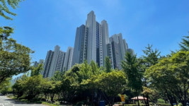앉아서 10억 번다…과천 로또 줍줍 아파트에 관심 폭발