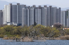 아파트 좀 있나요?…서울사람들, 이 동네 아파트 쓸어담았다