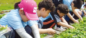 전남 곡성 봉조마을, 사계절 임산물…농촌체험 메카