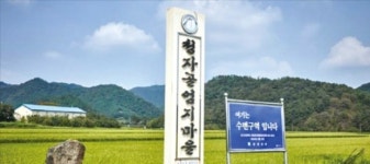 전남 강진 엄지마을, 물놀이·풍물놀이 체험…흉가서 담력 기르기