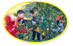 북적임보다 한적한 휴가를…팜스테이 마을서 힐링하세요