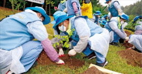 포스코, 포항·광양·서울 등 재능봉사단 운영…지역주민과 함께 사회문제 해결에 앞장