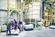 종자산업 살려낸 경북의 용감한 형제 기업