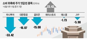 큰 돈 쓸 때 아냐…파리 날리는 여행·레저주