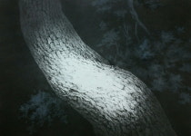 한국화가 신은섭 