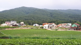 시골집, 양도·종부세 계산서 빠진다…세컨드하우스 마련해볼까
