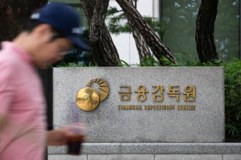 금감원 