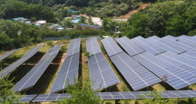 文정부 이후 여의도 35배 농지 사라졌다…태양광 설치 때문