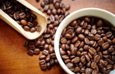 원두 볶는 건 되는데 커피 판매는 금지…황당 규제 풀린다 [강진규의 데이터너머]