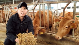 벼농사·한우사육 병행…年 3억 순이익 올리죠
