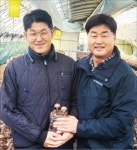 나무아닌 톱밥에 영양 첨가…표고버섯 대량재배 성공