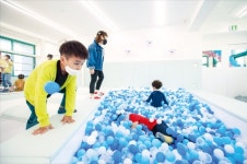 학교 숲 조성, 체육관 건립…포르쉐의 두 드림 사회공헌
