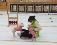 설 연휴 댕댕이 맡아드립니다…노원구, 반려견 돌봄쉼터 운영