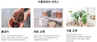 AI로 건강검진, 호텔도 가는 귀하신 몸…반려식물 스타트업 뜬다 [긱스]