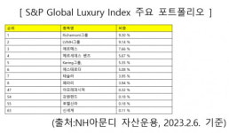 루이뷔통 백 대신 루이뷔통 ETF 샀더라면…[더 머니이스트-조재영의 투자 스토리]