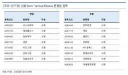 피코그램·코스모화학·대성홀딩스, FTSE 지수 편입…주가도 훨훨