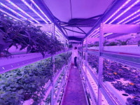 생산량 216배 많다…흙없이 농사 짓는 佛농장의 혁신 비결은 [유럽농장 르포]