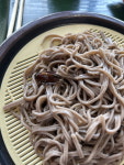 [단독] 오사카 인기 온천 식당 소바에서 바퀴벌레 나왔다