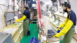 툭하면 다른 공장 가겠다…외국인 근로자 협박·태업에 中企 한숨