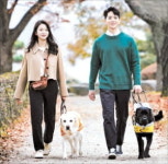 삼성화재, 시각장애인 안내견 드라마 갈채 방송