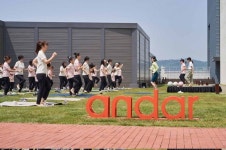 [포토] 온 가족이 함께 하는 대규모 요가 클래스