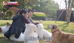 아빠 윤석열, 엄마 김건희입니다…TV동물농장 깜짝 출연