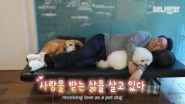 尹·김건희 출연했다고 융단폭격…동물농장 게시판 초토화