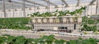 애그테크기업 이레아이에스, 100억원 규모 시리즈B 투자 유치 나서