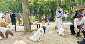 목줄 풀고 숲 산책…반려견 놀이터로 오세요