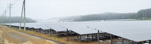 95원 신재생 전기, 190원에 사줘…태양광 쪼갠 가짜농부 판쳤다