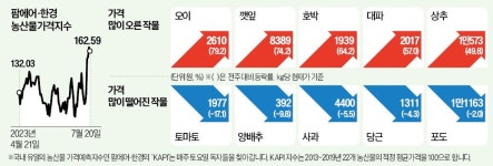 식탁 덮친 폭우…오이·깻잎 1주일새 70% 폭등