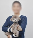 1박 2일 여행 가자…여직원 성추행 혐의 반려견 훈련사 송치