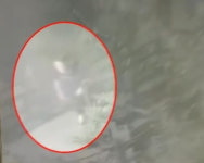 등산로 이어 하천 산책로…여성 풀숲으로 끌고 간 40대男