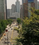 약현성당과 명동성당 [더 라이프이스트-성문 밖 첫 동네, 중림동 이야기]