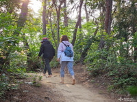 건강에 최고…울산은 지금 맨발 걷기 열풍