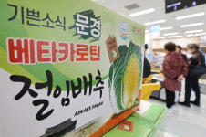 배추보다 싸다니?…반값 절임배추 가능한 까닭은 [오정민의 유통한입]