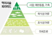 기후변화로 인한 지구 온난화와 식량위기…해결책은 미세조류에 있다