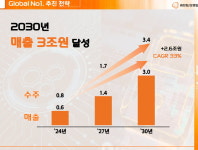 한화 모멘텀, 2030년 매출 3조…배터리 내재화도 나선다