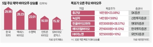카라바이오헬스트레이딩 | 일제히 뛴 제약·바이오株…내년 주도주 예고