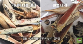 희한하게 맛있다…20시간 방치한 흑변 대게 먹어보니