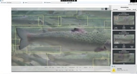 제이제이앤컴퍼니스, 낙동강 어도(Fishway) 수중 생태환경 분석 시스템 구축 완료