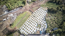 수익 4배 이상 늘었어요…고당도 감귤 없어서 못 판다 [송영찬의 신통유통]