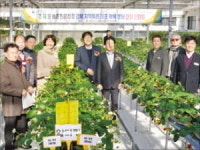 성주참외硏 특화작목 전담 연구기관 선정