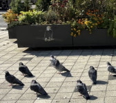 독수리가 거기서 왜 나와?…합정역 출구에 붙은 사진의 비밀