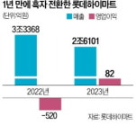 롯데하이마트, 혁신 점포로 실적 점프