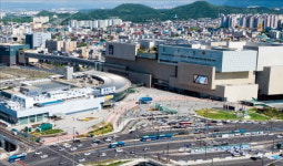 동대구역 광장 박정희 광장으로 바뀌나