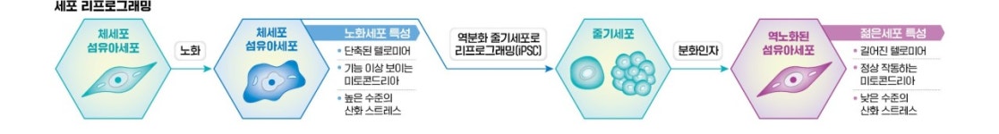 수명 연장 시작은 DNA 모니터링…장수 유전자 깨우면 120세가 기본