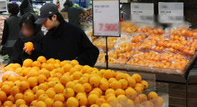 장바구니 부담 던다…과일 450t 완판 쿠팡, 900t 추가 매입